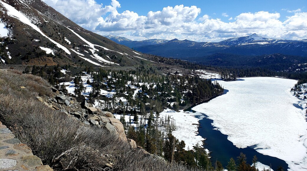 Road trip through the Sierra Nevada Mountains