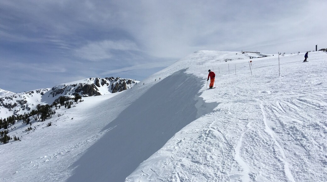 This is a vertical jump.