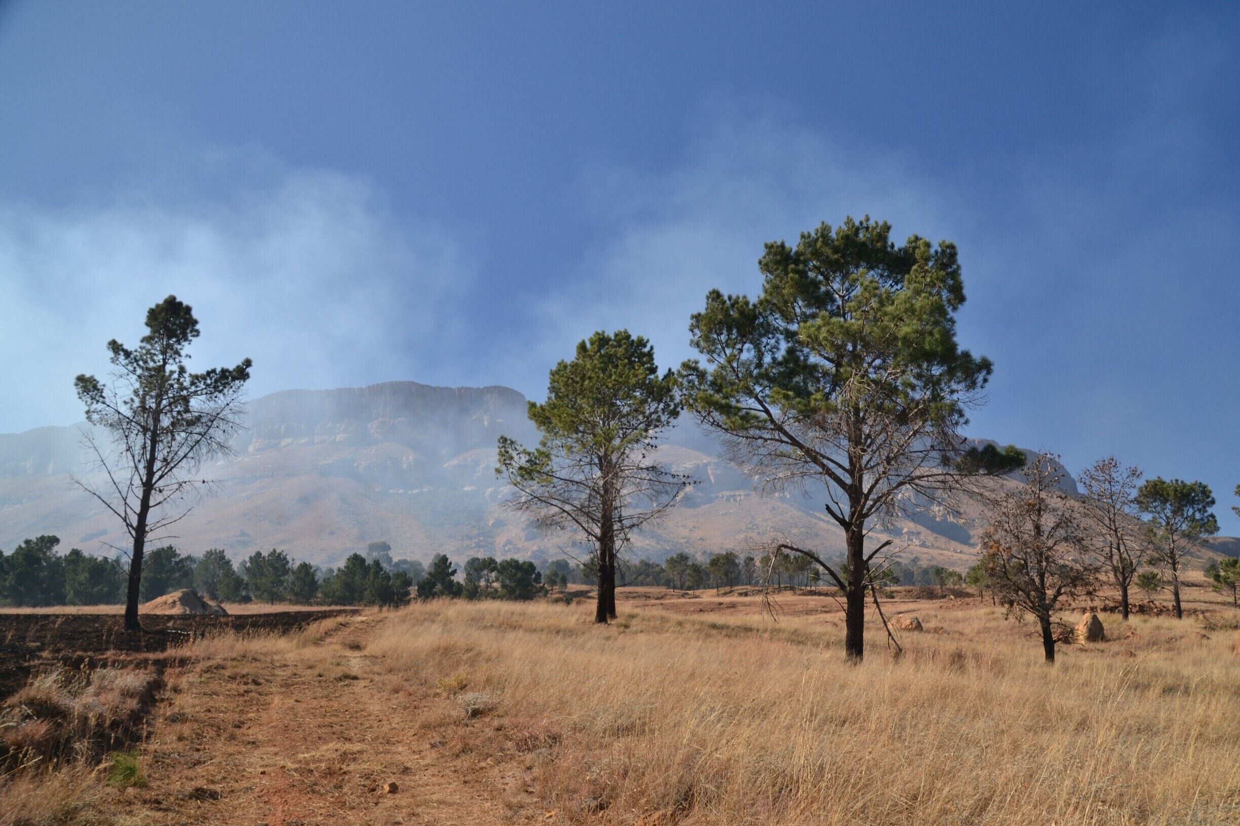 Clouds gathering around the edge of Platberg Mountain in Harrismith, South Africa. A town and a mountain worth some of your time. Hike it, climb to the top and get some amazing views of the dystopian landscape surrounding Harrismith.

More about my mountain hike: http://www.earthseeing.com/the-climbing-of-platberg-mountain/

#southafrica #africa #platberg #harrismith #landscape #hiking