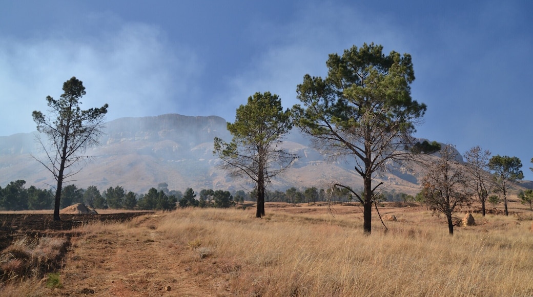 Clouds gathering around the edge of Platberg Mountain in Harrismith, South Africa. A town and a mountain worth some of your time. Hike it, climb to the top and get some amazing views of the dystopian landscape surrounding Harrismith.
More about my mountain hike: http://www.earthseeing.com/the-climbing-of-platberg-mountain/
#southafrica #africa #platberg #harrismith #landscape #hiking