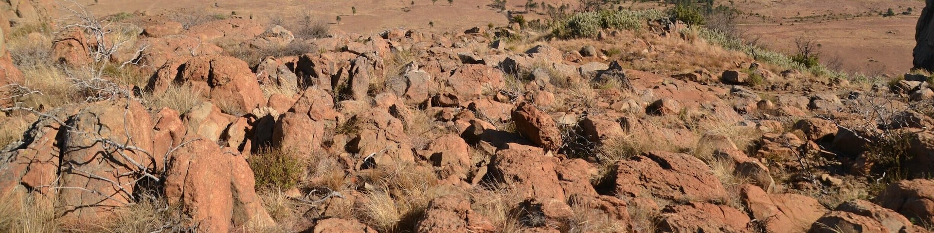 On top of the Platberg mountain in Harrismith, South Africa. A challenging trek for a newbie mountain climber like myself, but so worth it. The landscape is surreal. Like looking out on a post-armageddon world...
More photos and a story behind them, can be found here: http://www.earthseeing.com/the-climbing-of-platberg-mountain/
#southafrica #platberg #mountains #africa #landscape #hiking