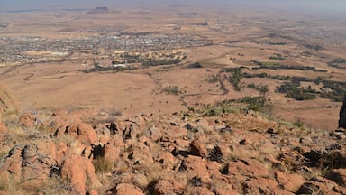 On top of the Platberg mountain in Harrismith, South Africa. A challenging trek for a newbie mountain climber like myself, but so worth it. The landscape is surreal. Like looking out on a post-armageddon world...
More photos and a story behind them, can be found here: http://www.earthseeing.com/the-climbing-of-platberg-mountain/
#southafrica #platberg #mountains #africa #landscape #hiking