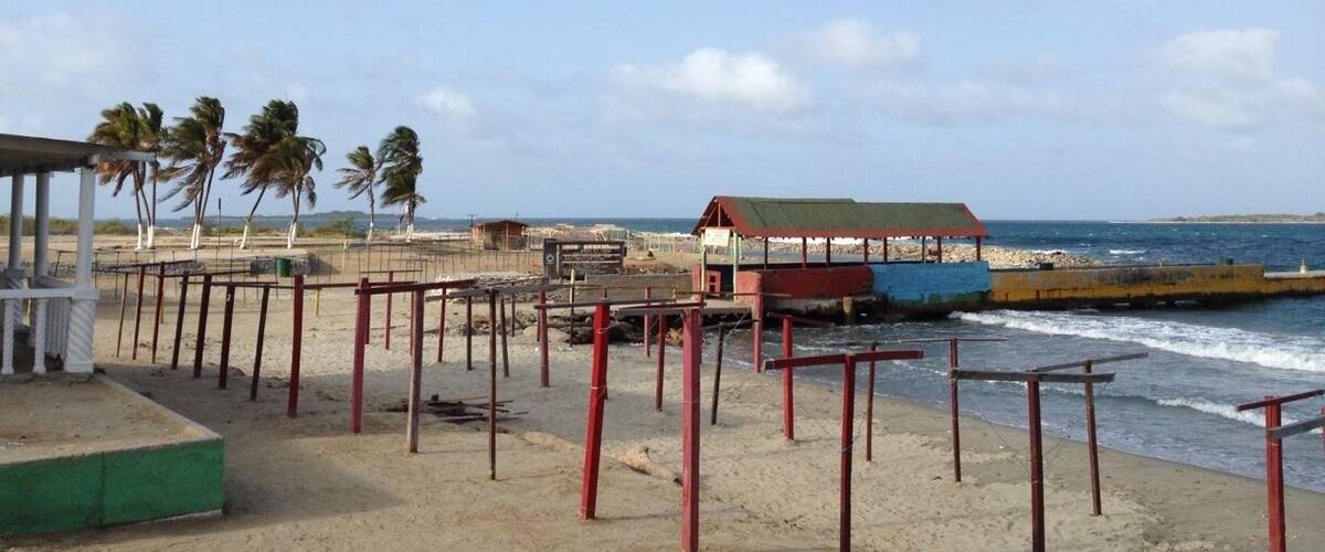 A beach with palm trees, a small structure, and a pier extending into the water.