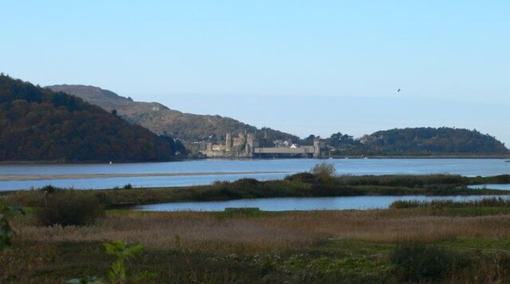 Paisaje costero con un castillo en una colina, una masa de agua y una zona llana y cubierta de hierba en primer plano.