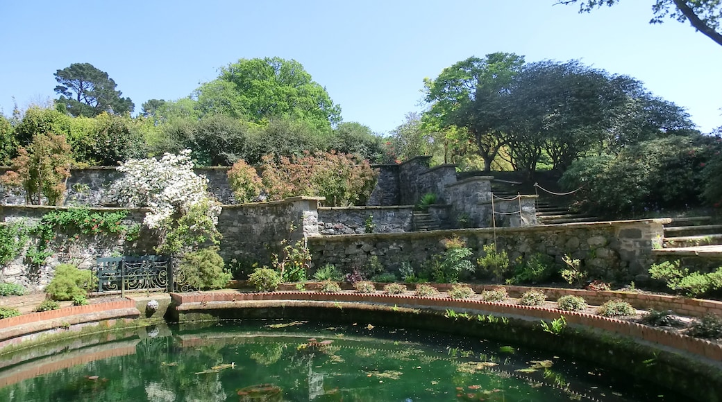 Bodnant Garden Water Feature