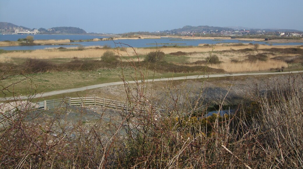 View to southern end of RSPB Sanctuary Llandudno Junction As viewed from the layby on A470 at Glan Conwy. A popular spot for twitchers.Conwy Castle is to the far distant left of photograph.
