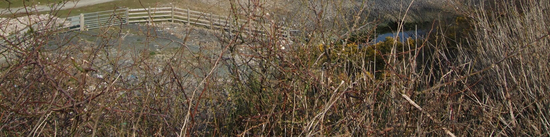 View to southern end of RSPB Sanctuary Llandudno Junction As viewed from the layby on A470 at Glan Conwy. A popular spot for twitchers.Conwy Castle is to the far distant left of photograph.