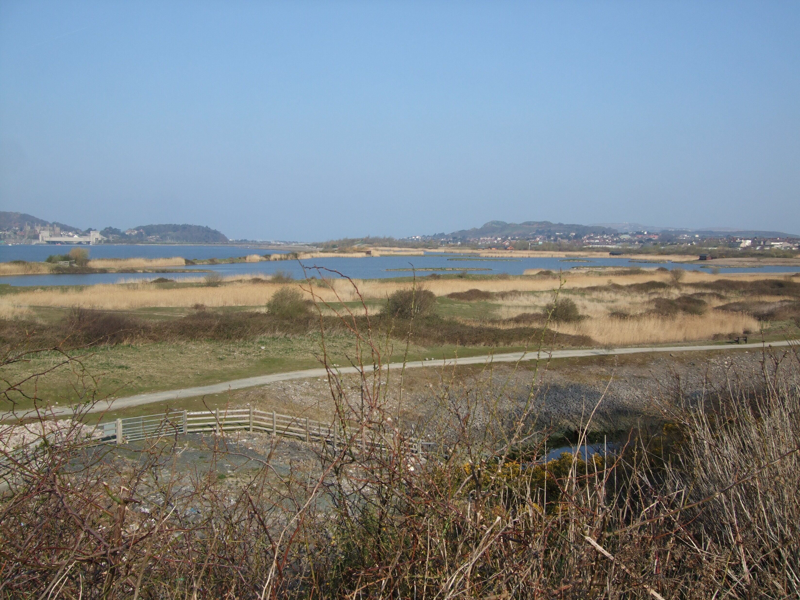 A coastal landscape with a sandy beach, a wooden walkway, and a distant city skyline.
