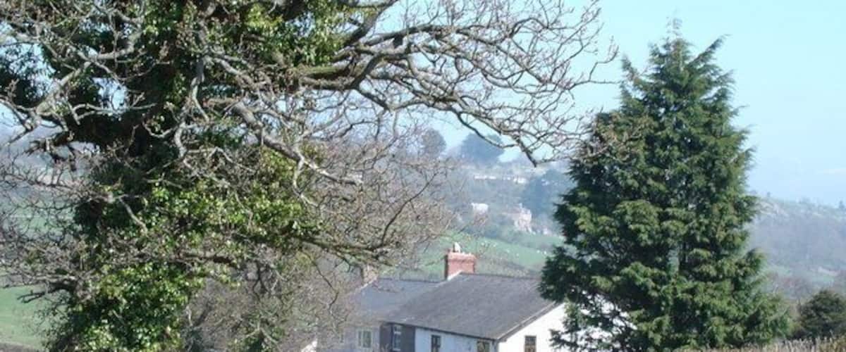 A rural road with a white house and trees.