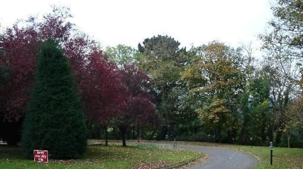 Un camino curvo en un parque, con árboles de colores otoñales y una señal a la izquierda.