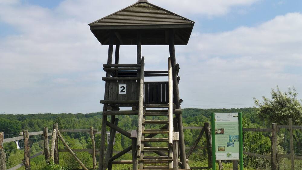 Ein hölzerner Aussichtsturm mit Dach, beschriftet mit '2', umgeben von einem Zaun und Grünpflanzen.
