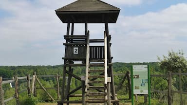 Une tour d’observation en bois, dotée d’un toit et portant le numéro « 2 », est entourée d’une clôture et de verdure.