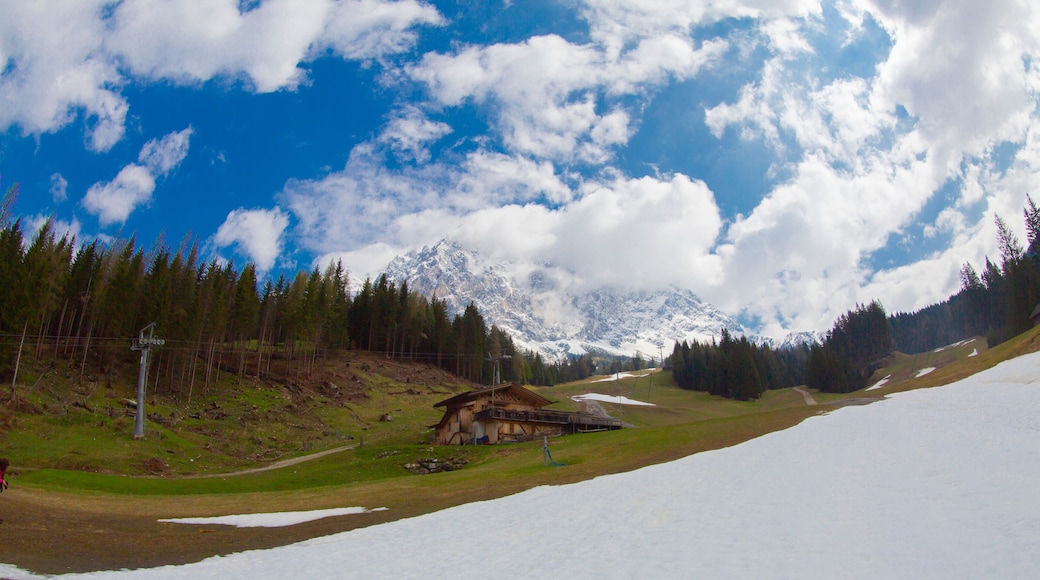 Beautiful panoramic view of rural alpine landscape with cows grazing in fresh green meadows neath snowcapped mountain tops on a sunny day in spring, National Park Hohe Tauern, Salzburger Land, Austria