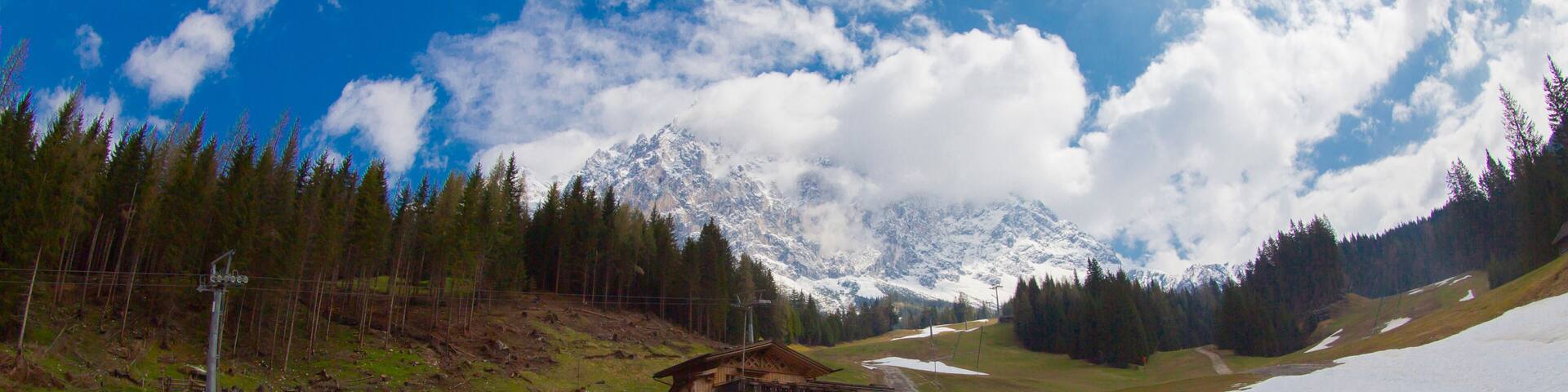 Beautiful panoramic view of rural alpine landscape with cows grazing in fresh green meadows neath snowcapped mountain tops on a sunny day in spring, National Park Hohe Tauern, Salzburger Land, Austria
