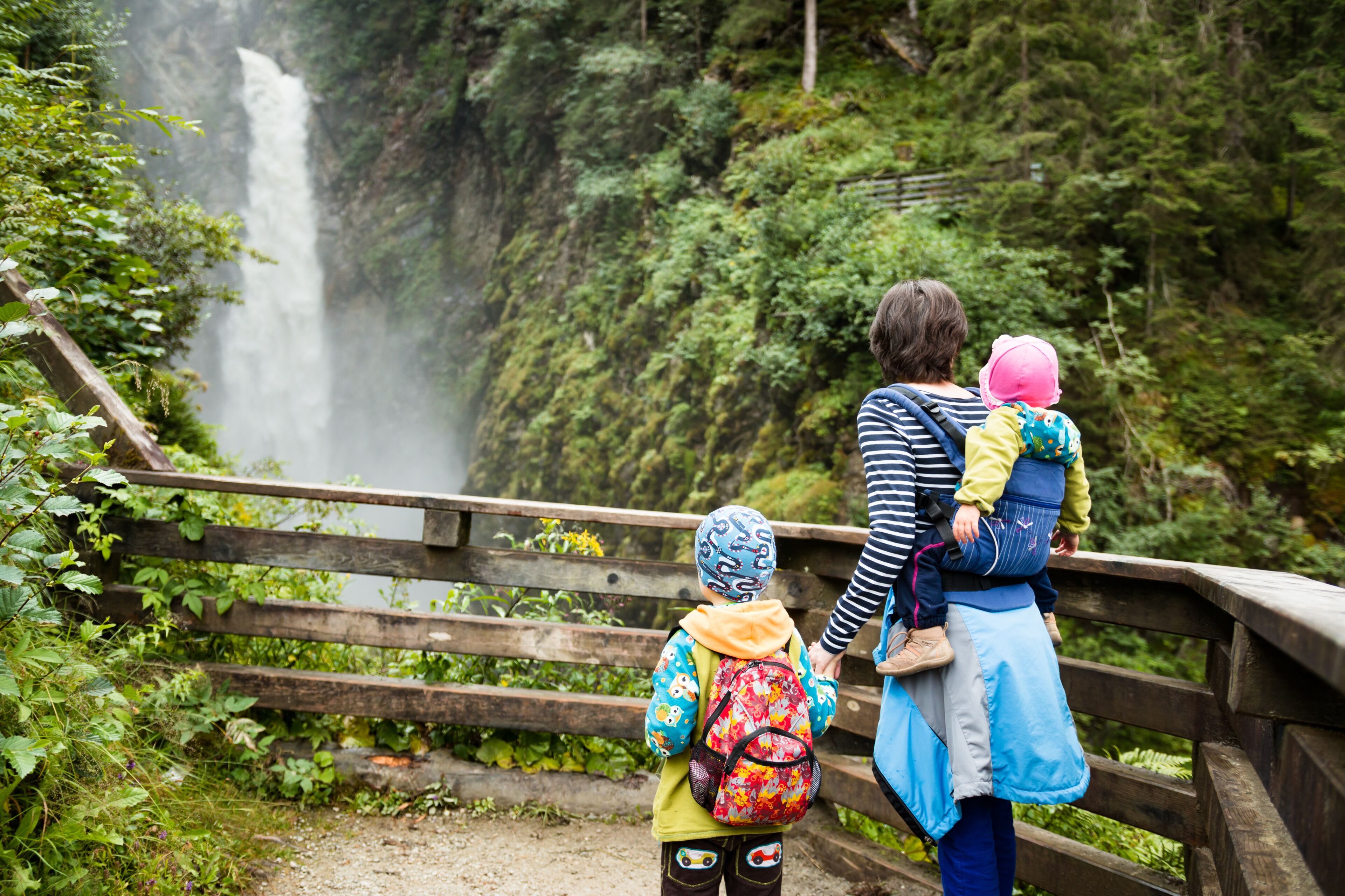 A wooden bridge, a waterfall, and lush greenery.