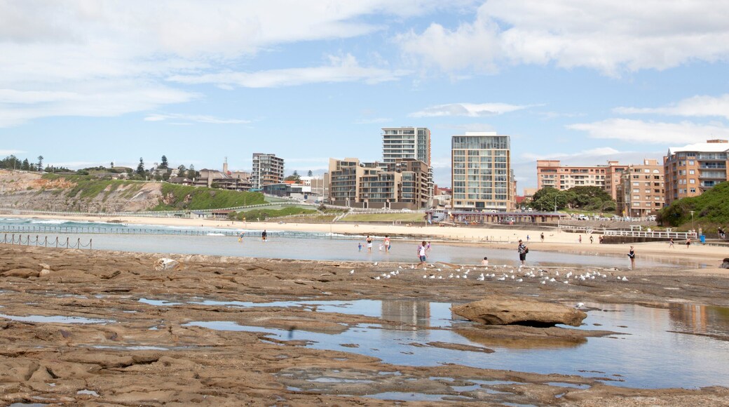 newcastle beach