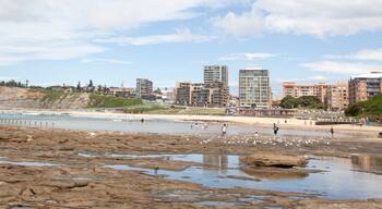 newcastle beach