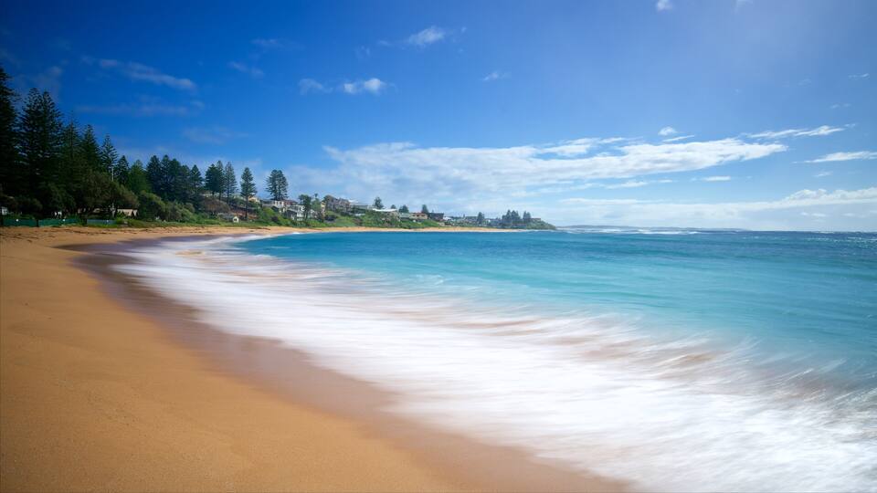 A sandy beach with gentle waves, a clear blue sky, and a forested hillside in the background.