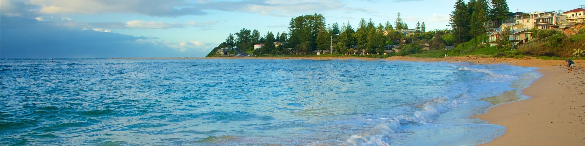 The Entrance mostrando uma praia e uma baía ou porto