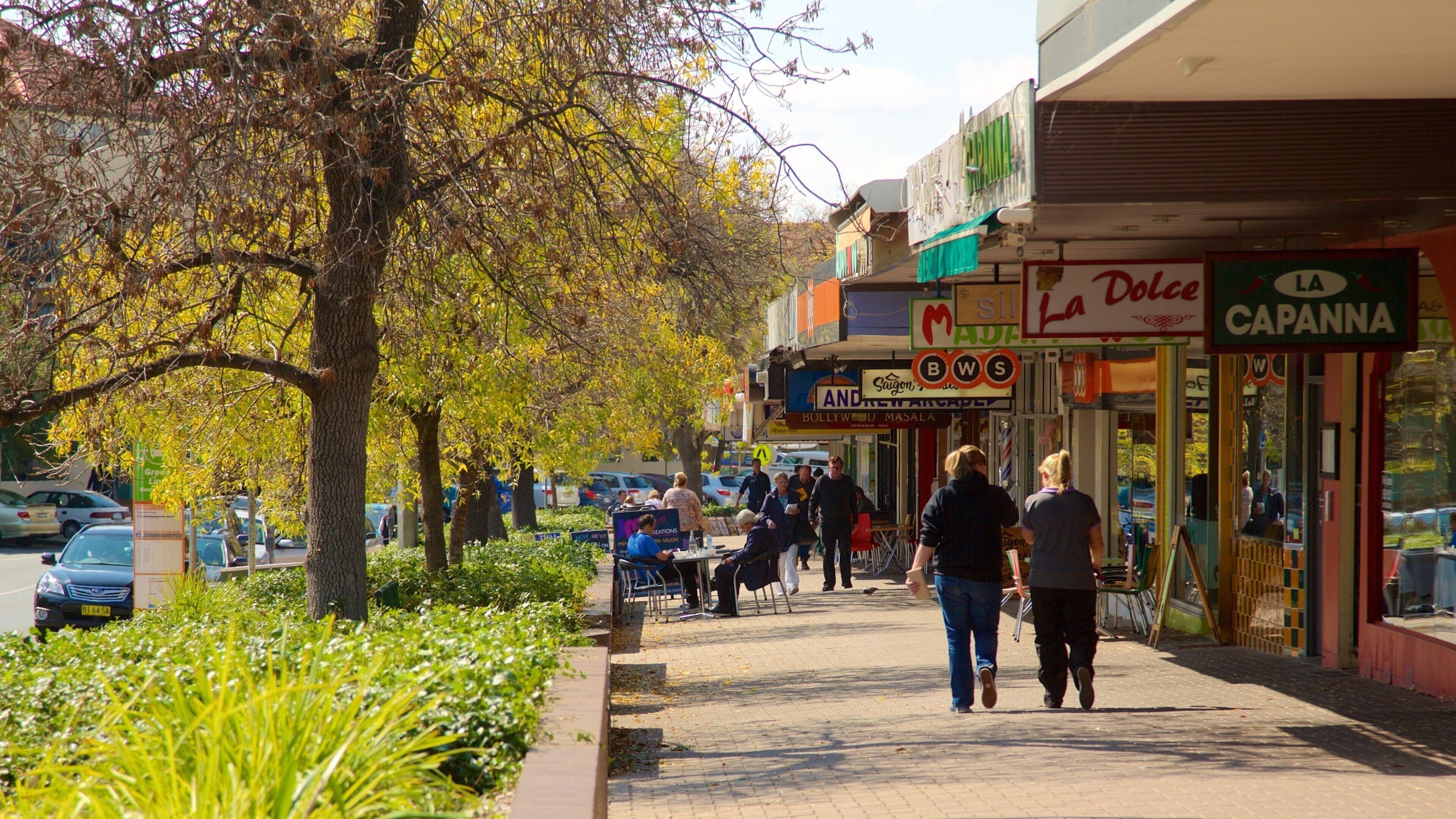 Kingston og byder på gadeliv og skiltning