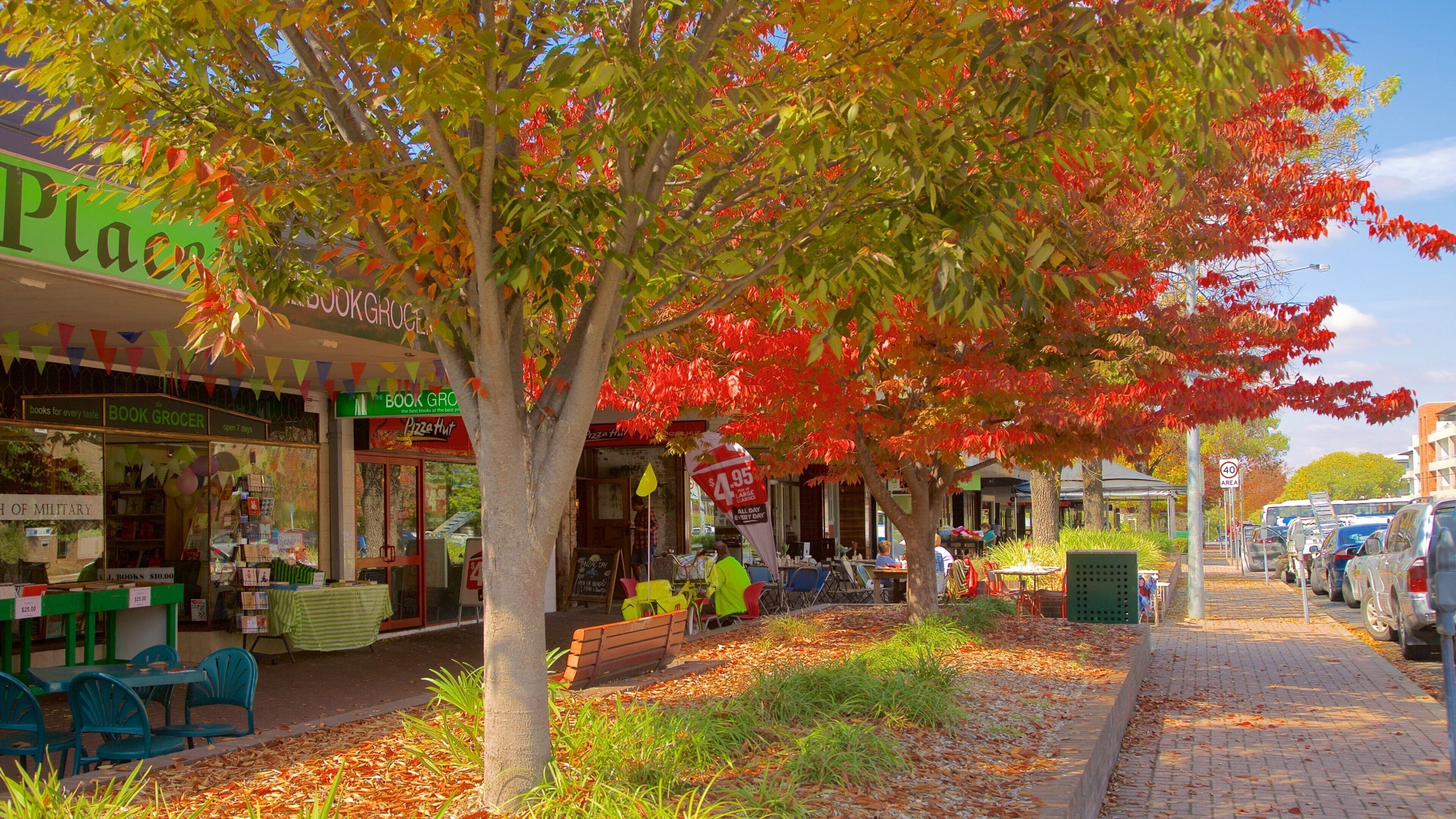 Kingston som viser efterårsfarver og det centrale forretningsområde