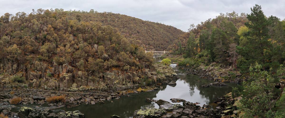 panoramic view of cliffs and native tree park area at Cataract gorge national park, Launceston, Tasmania, Australia