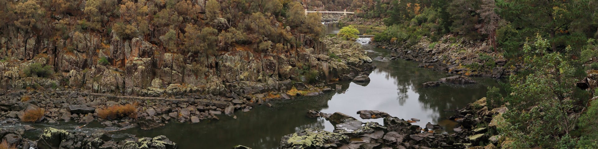 panoramic view of cliffs and native tree park area at Cataract gorge national park, Launceston, Tasmania, Australia