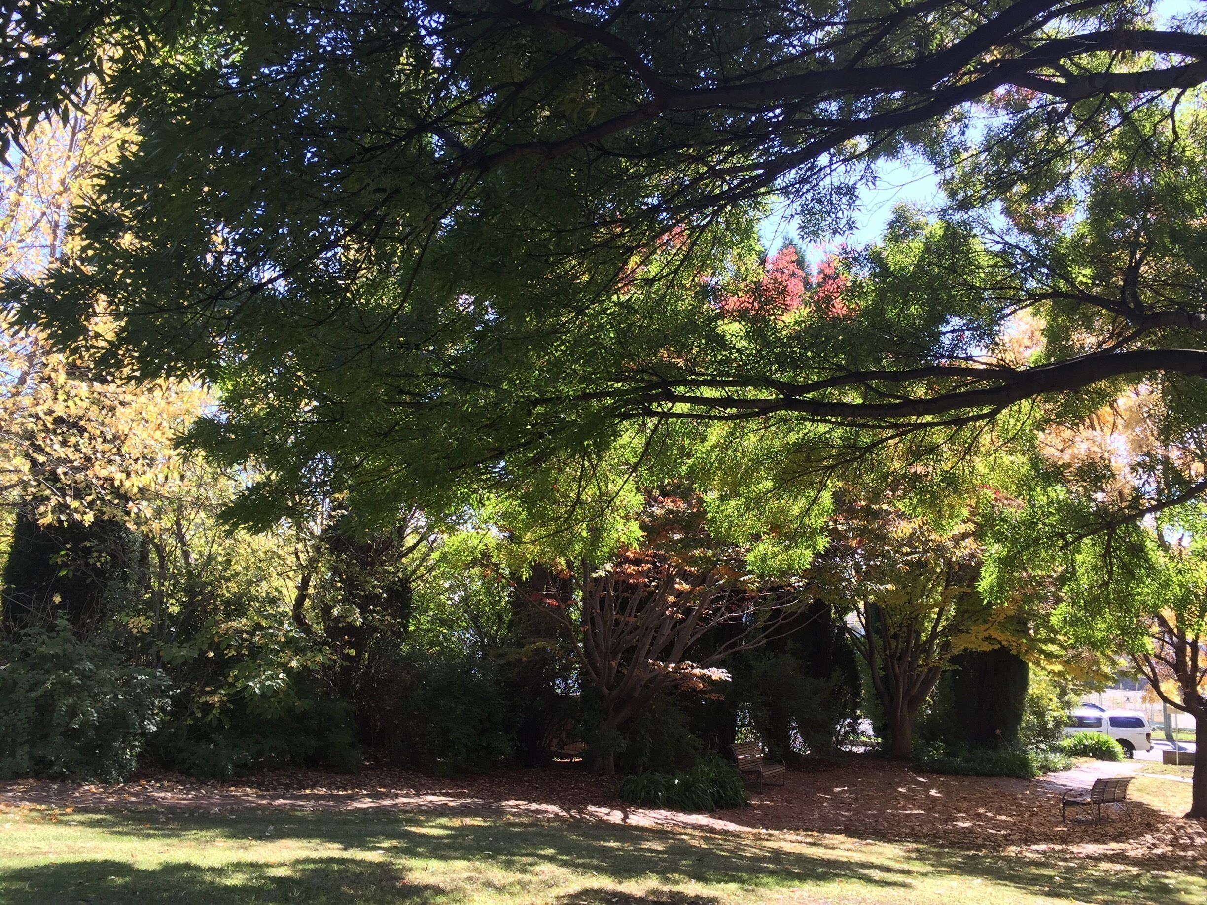 Beautiful spot to stop for lunch. Autumn colours are starting to show too.
