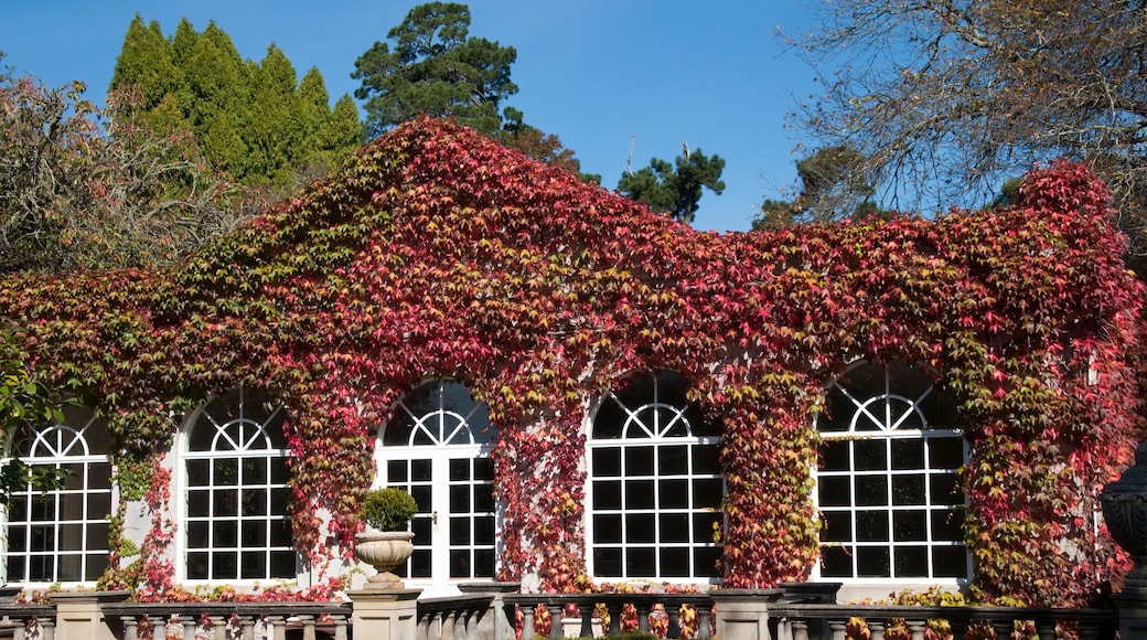 Bowral