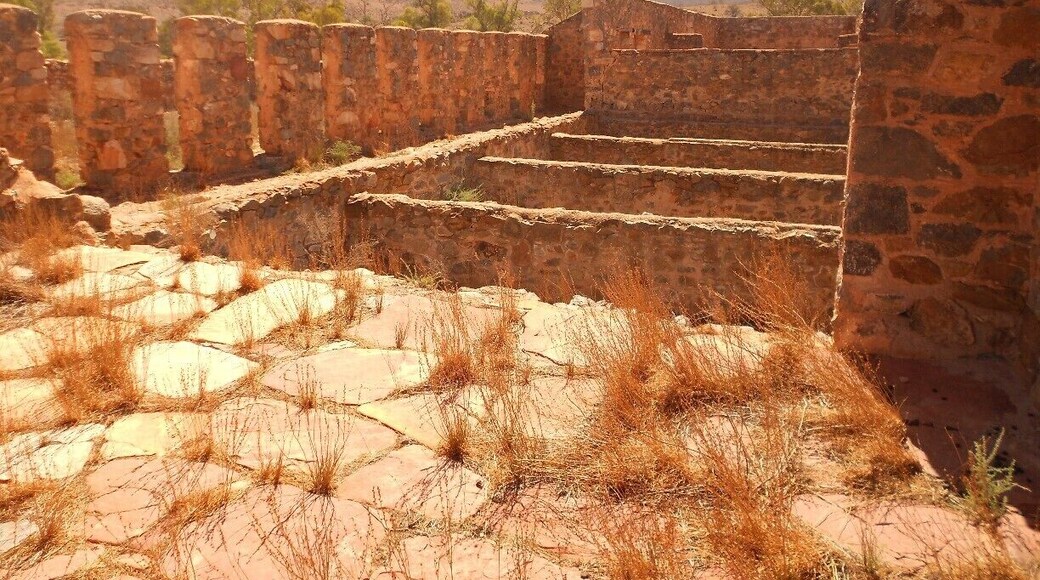 These are the ruins of Kanyaka homestead, near Hawker in the Flinders Ranges. You can see the ruins of several buildings that were once a sheep stations. There are also some old graves.