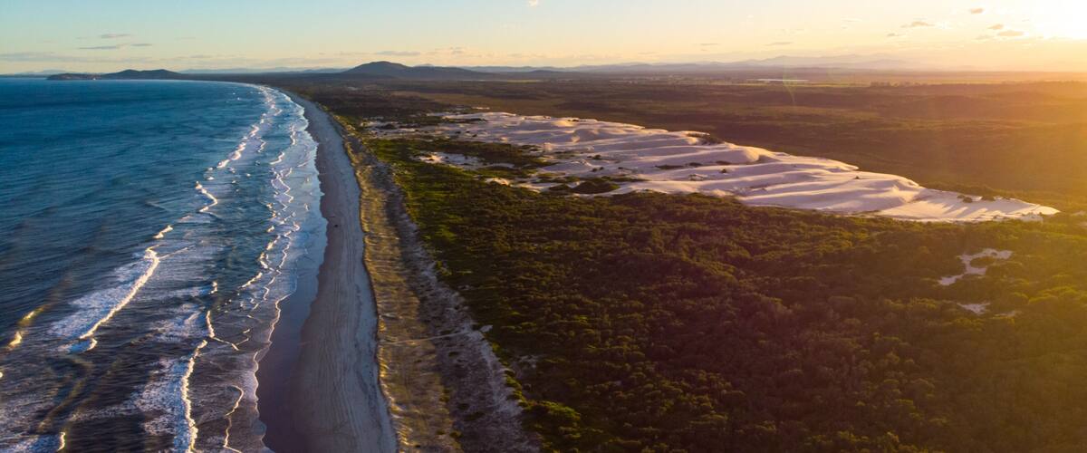 A coastal landscape with a beach, dunes, and a forested area.