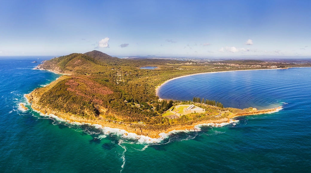 An aerial view of a coastal island with a curved shoreline, dense vegetation, and a clear blue sea.