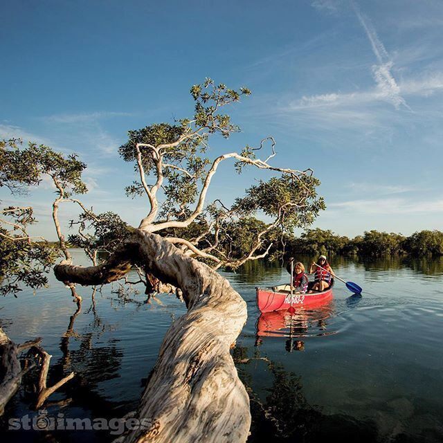 Two of our crew doing a little bit of canoeing on our #stimages2016roadtrip in #SouthWestRocks 😍 @daily_life_of_stimages