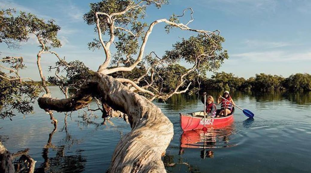 Two of our crew doing a little bit of canoeing on our #stimages2016roadtrip in #SouthWestRocks 😍 @daily_life_of_stimages