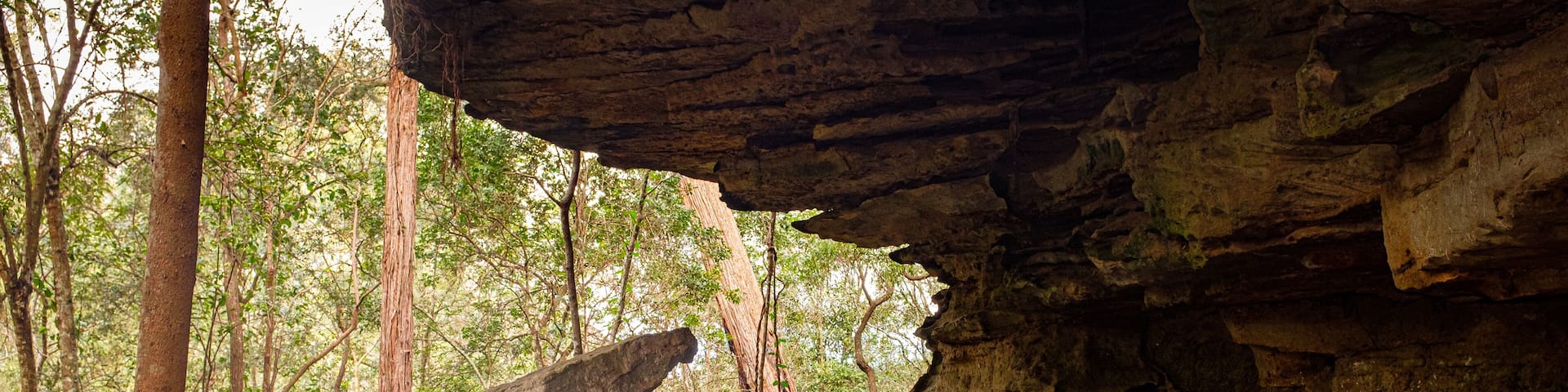 Overhanging sandstone rock shelter on Bomaderry Creek Gorge walking trail, Bomadarry, Nowra, NSW Australia