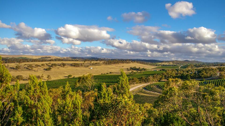 A rural landscape with rolling hills, fields, and scattered trees under a blue sky with clouds.