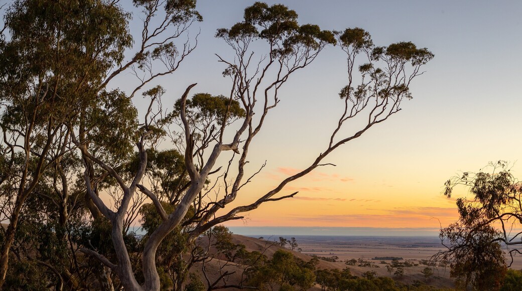 Clare featuring a sunset and tranquil scenes