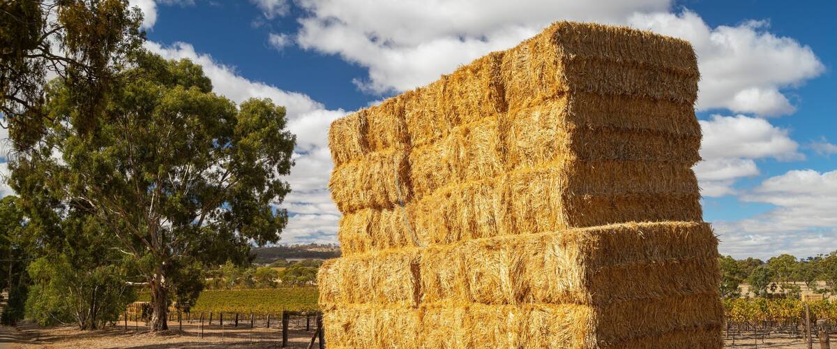 Clare showing tranquil scenes and farmland