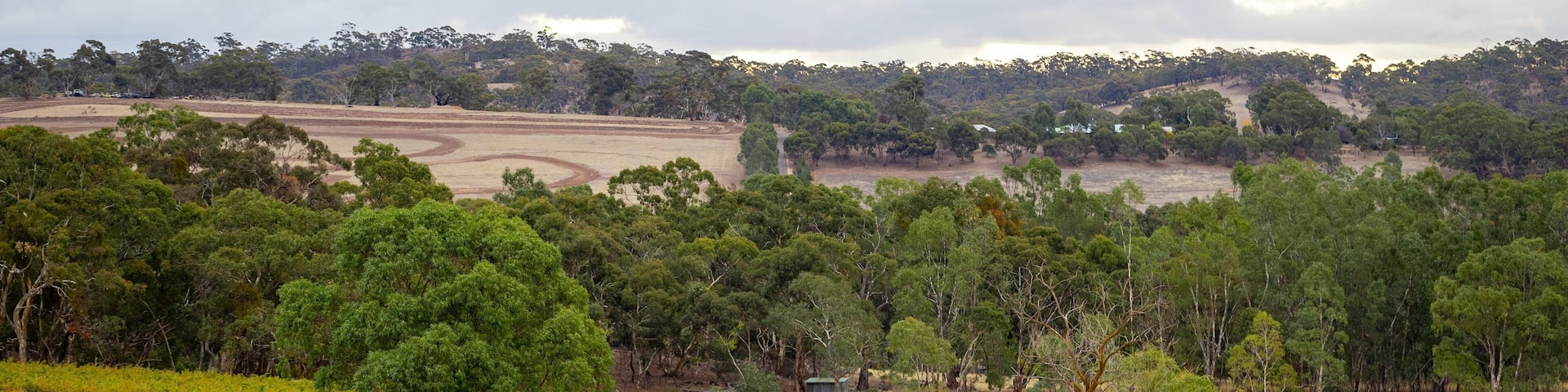 Clare which includes landscape views and farmland