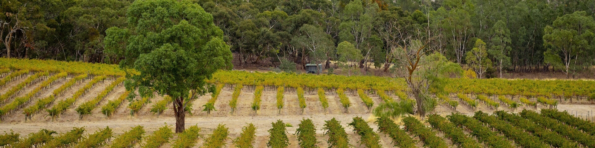 Clare which includes landscape views and farmland