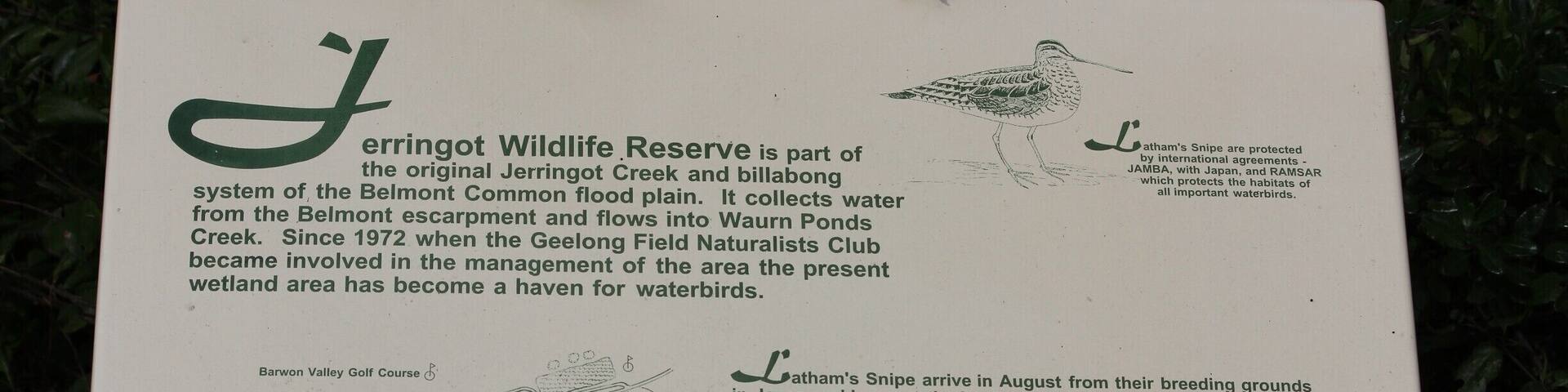 Belmont Common is one of my favourite birdwatching areas in Geelong. There is a bird hide at Jerringot Wildlife Research. You get a lot of waterbirds in the area and also the occasional bird of prey. It's well known for crakes, rails and lathams snipe. #localgem