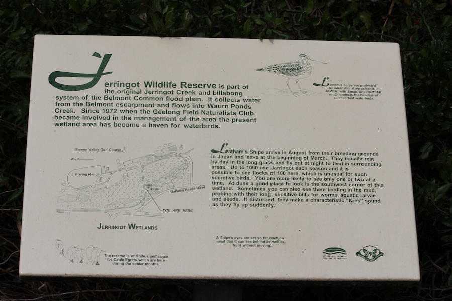 Belmont Common is one of my favourite birdwatching areas in Geelong. There is a bird hide at Jerringot Wildlife Research. You get a lot of waterbirds in the area and also the occasional bird of prey. It's well known for crakes, rails and lathams snipe. #localgem