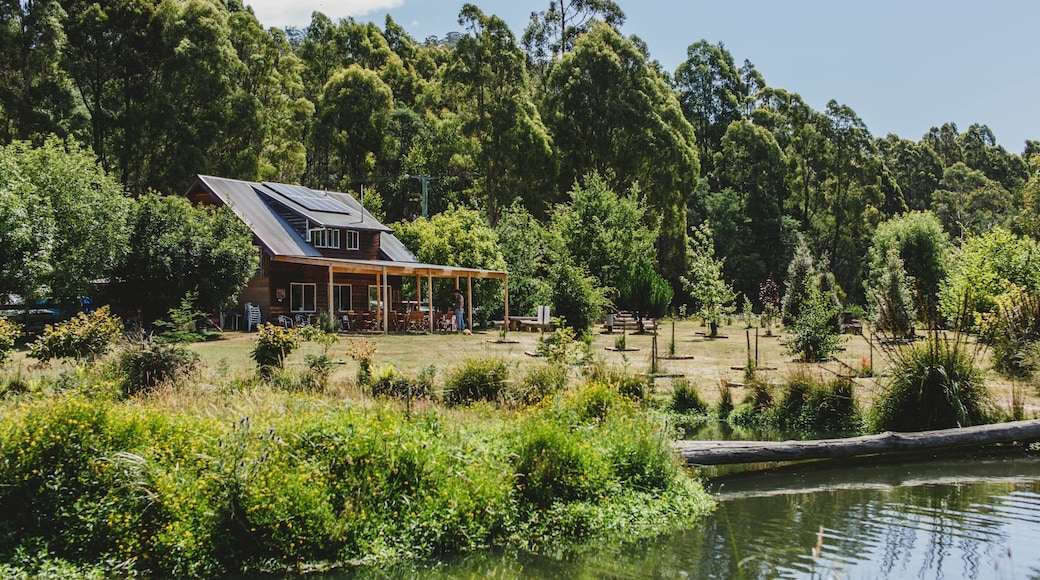 Deloraine featuring tranquil scenes and a house