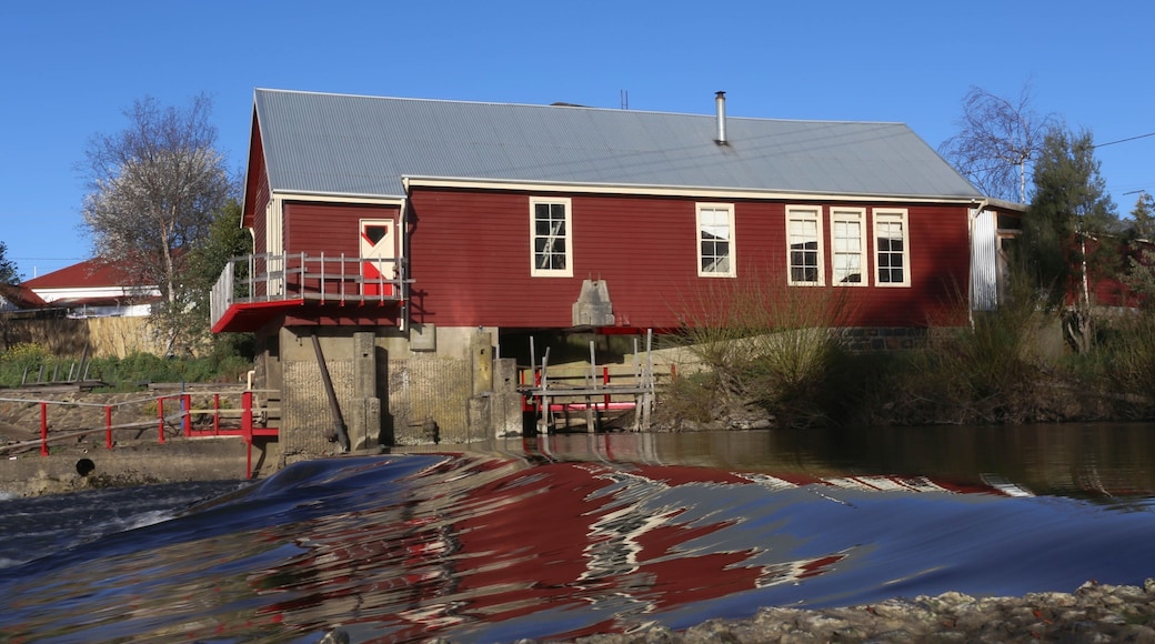 Deloraine which includes a house