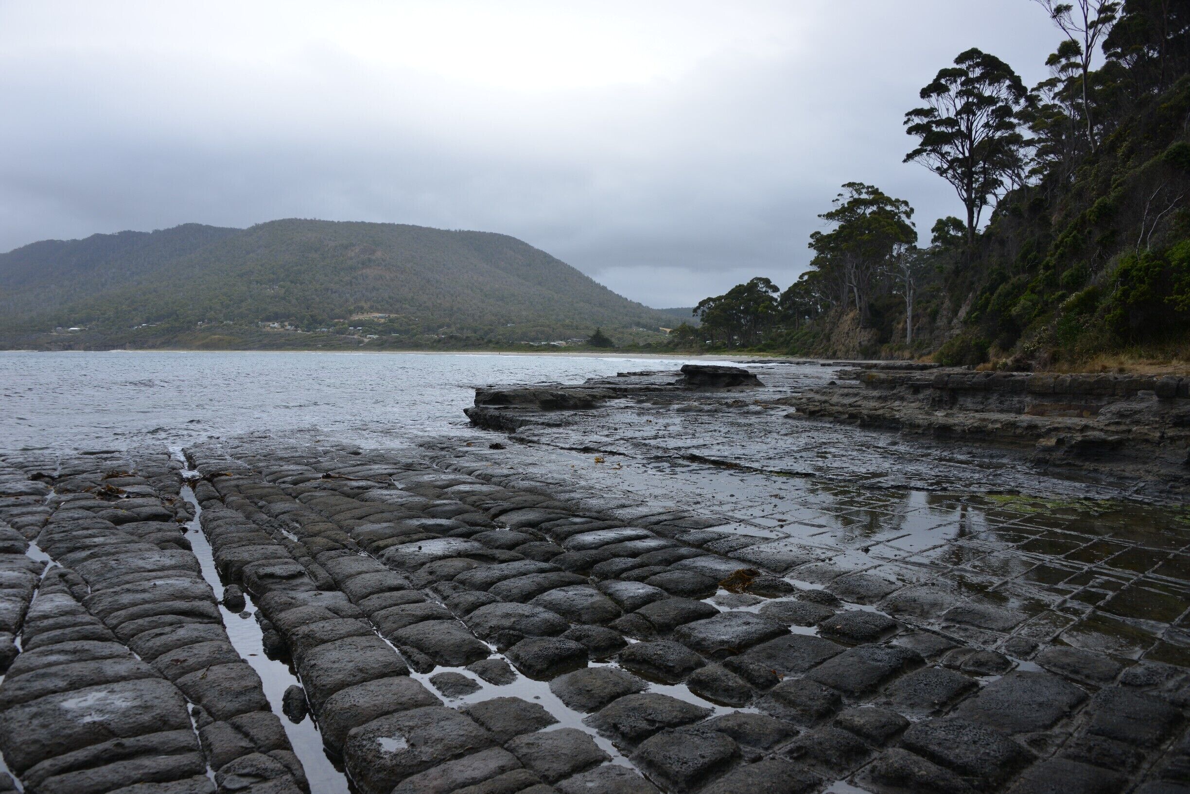 Unusual rock formation on Tasmania well worth visiting. However, despite it being summer it was more of a UK summer's day!