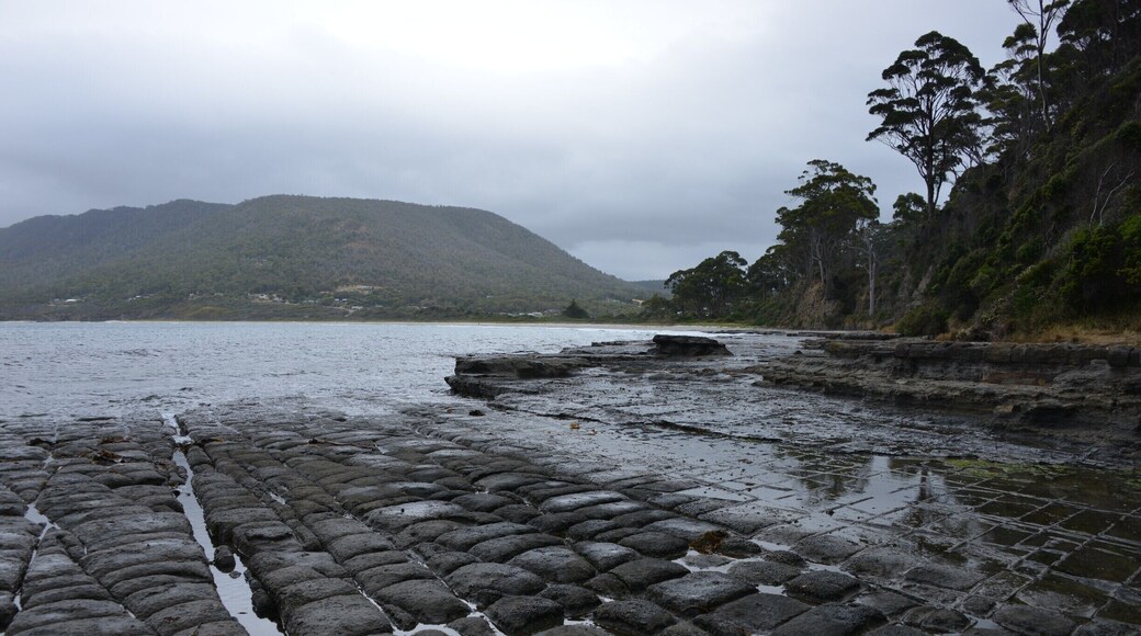 Unusual rock formation on Tasmania well worth visiting. However, despite it being summer it was more of a UK summer's day!