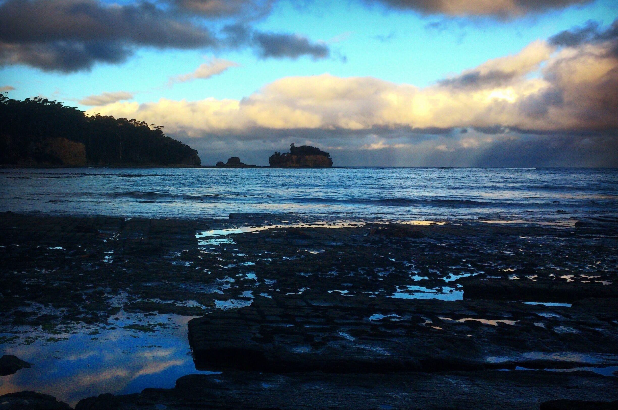 Tessellated pavements formed from fractures of one big rock stone. Very fascinating :)