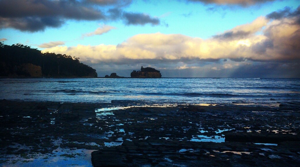 Tessellated pavements formed from fractures of one big rock stone. Very fascinating :)