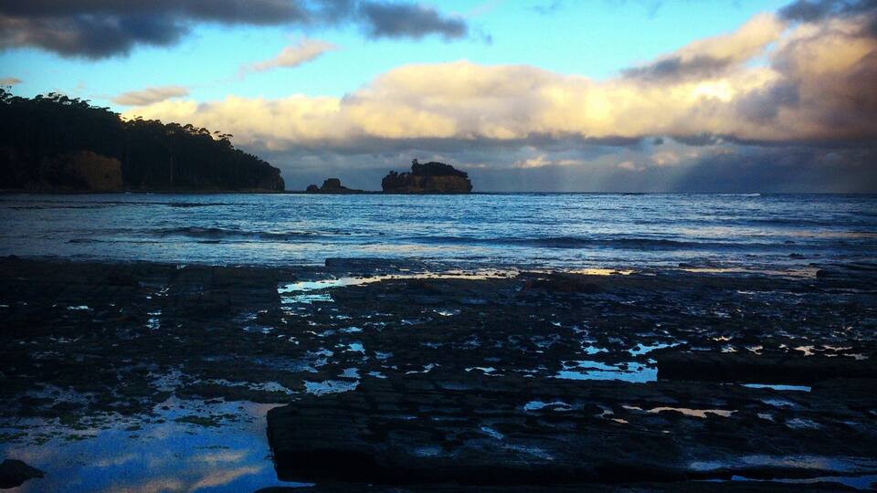 A rocky shoreline with calm water, a forested cliff, and a distant island.