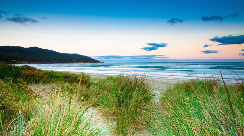 Eaglehawk Neck montrant coucher de soleil, vues littorales et plage de sable